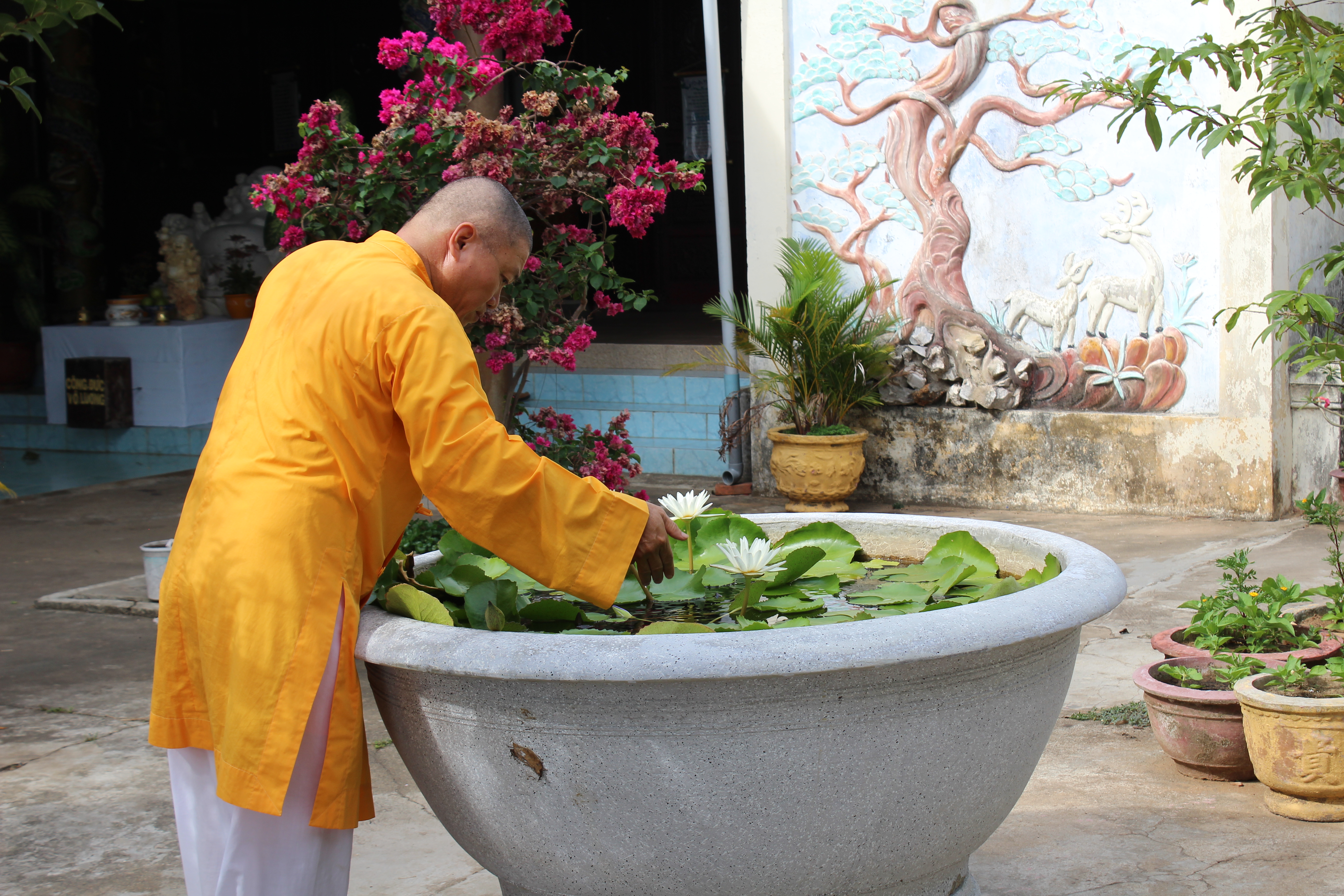 A monk pours water onto a lotus flower