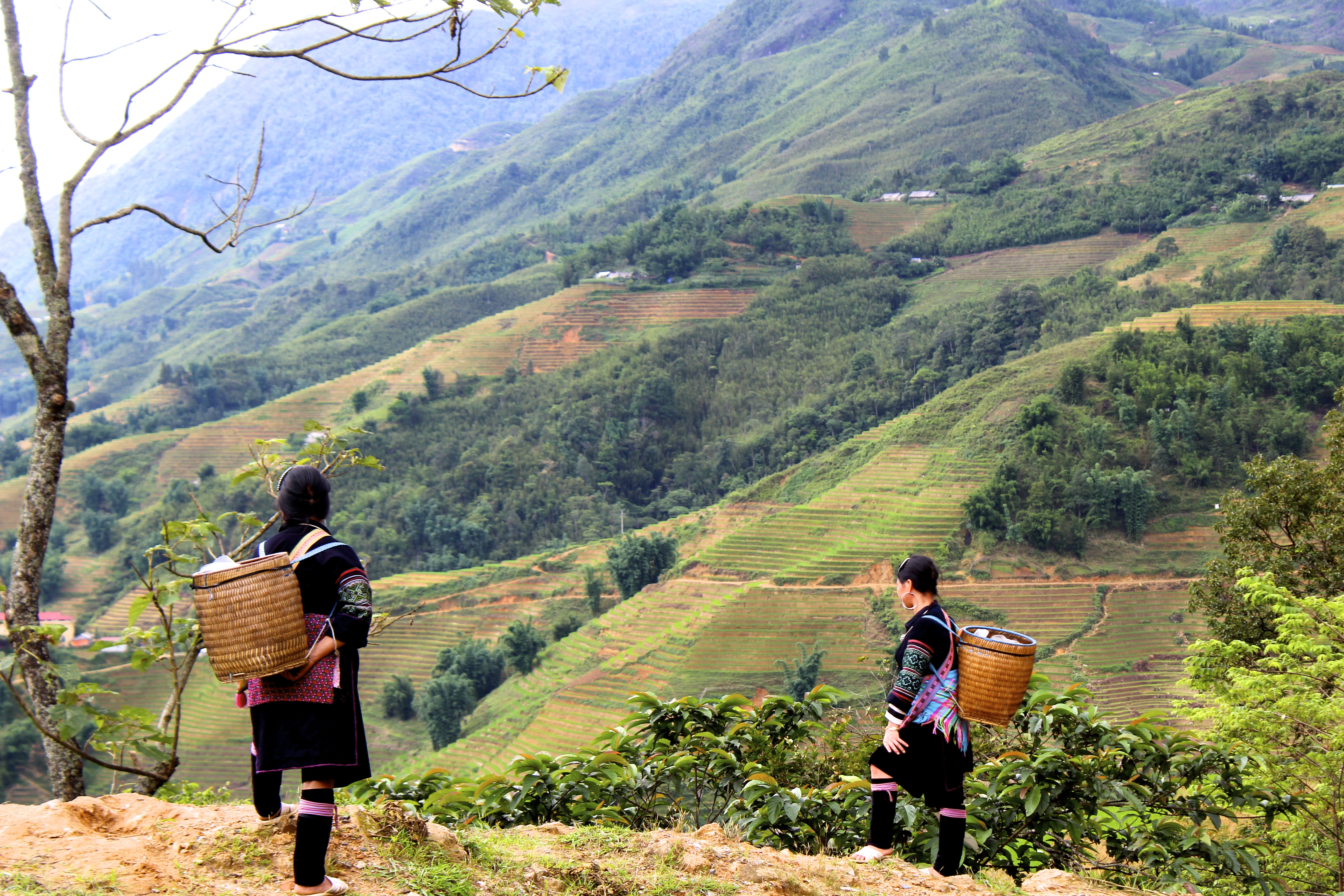 Women of the Hmong tribe look out over the beautiful landscape.