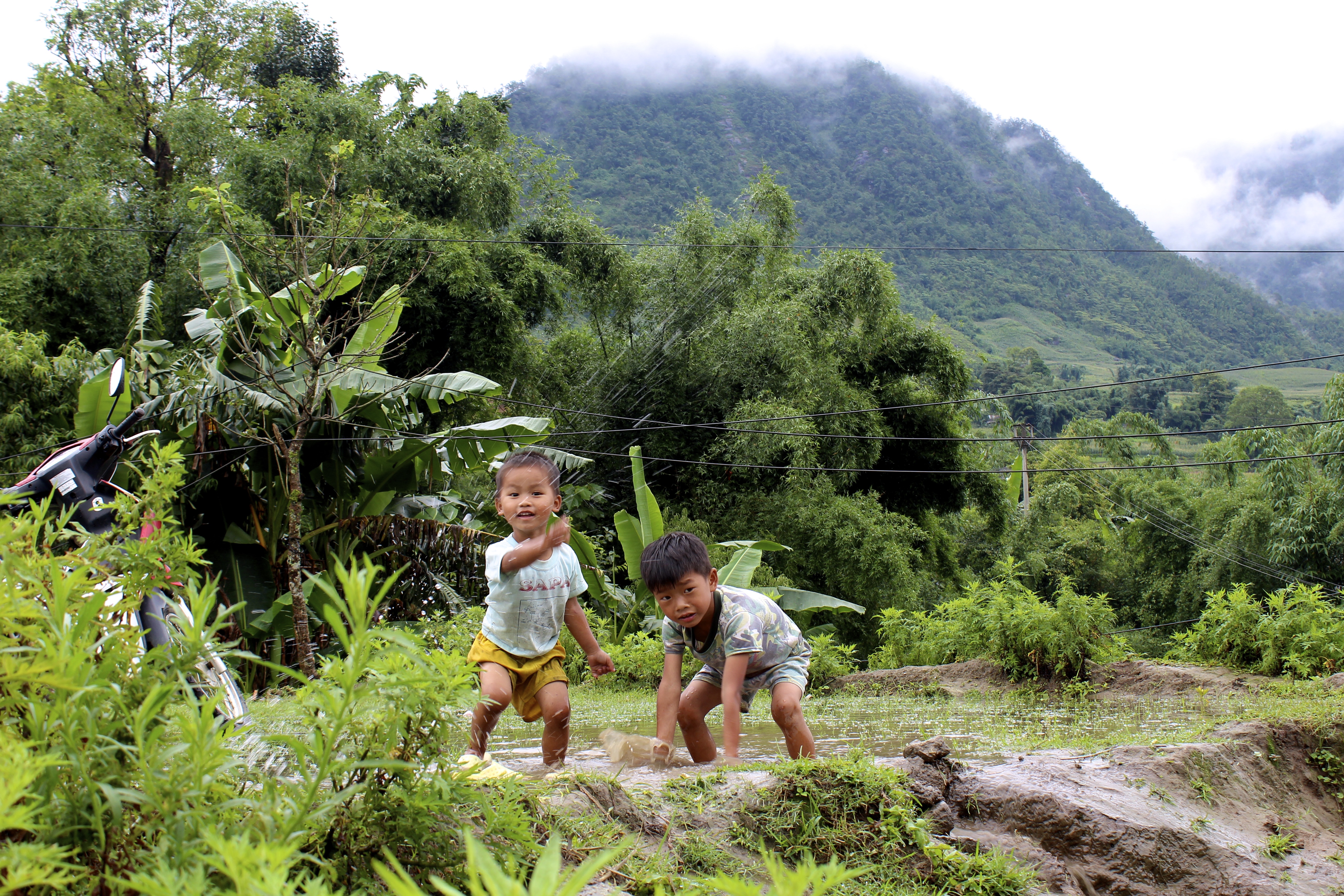 Two little boys play in their family's rice paddies.