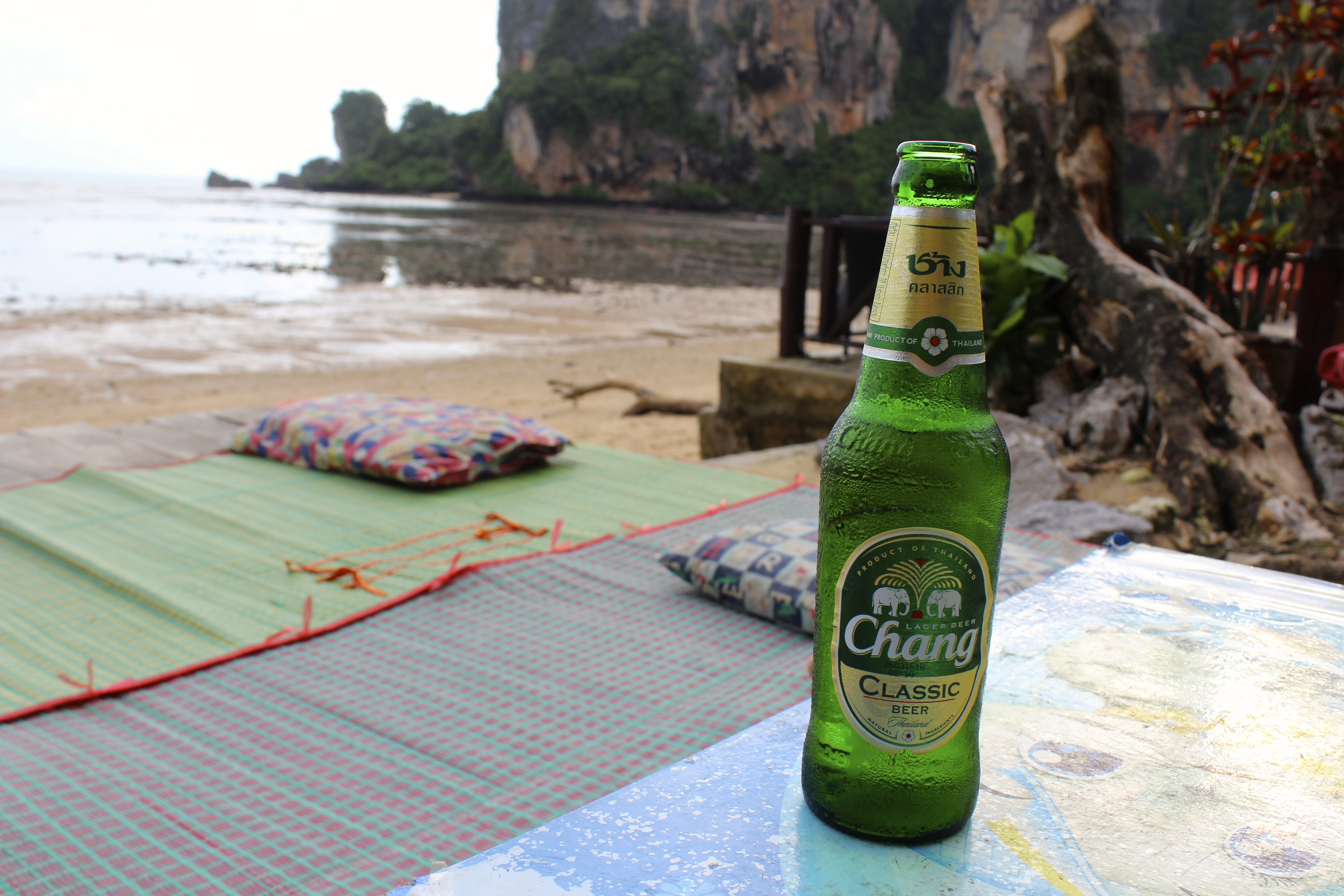 Enjoying a Chang at Freedom Bar.