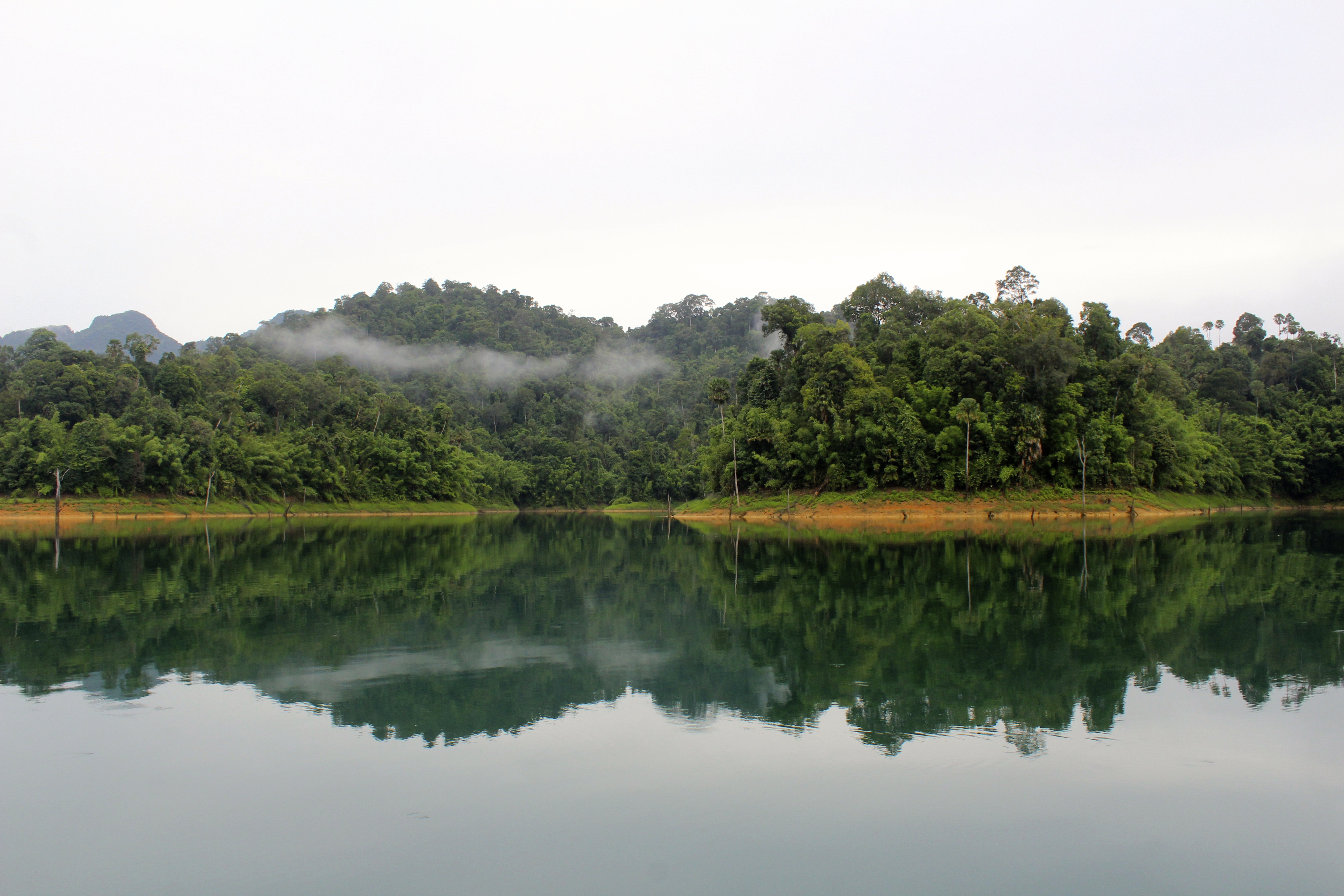 The gorgeous rainforest lining the shores of Cheow Lan Lake. 