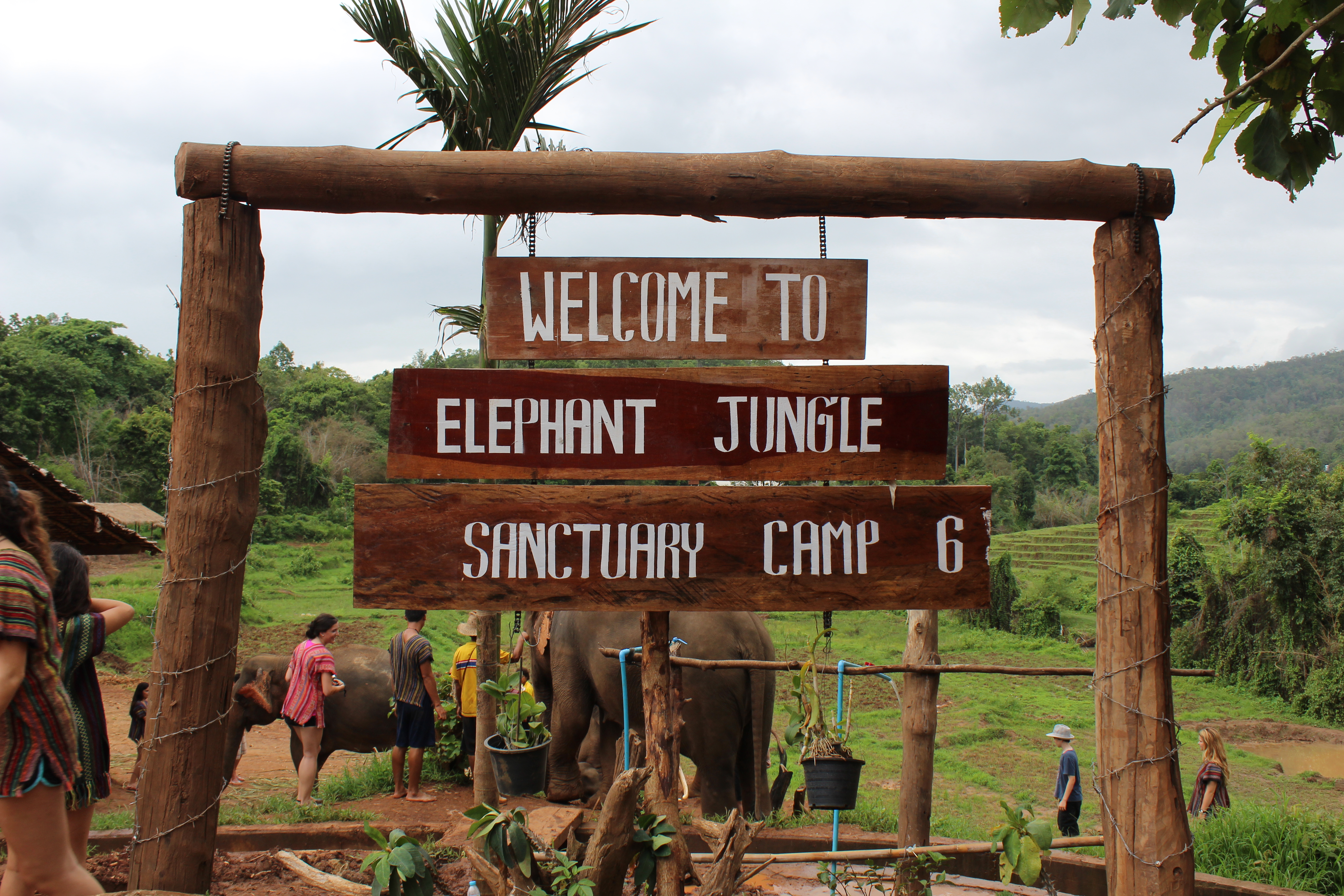 The Elephant Jungle Sanctuary.