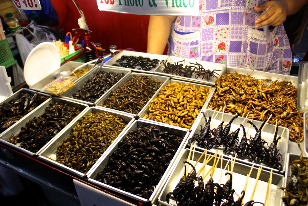 Grasshoppers, worms, spiders, scorpions...take your pick!