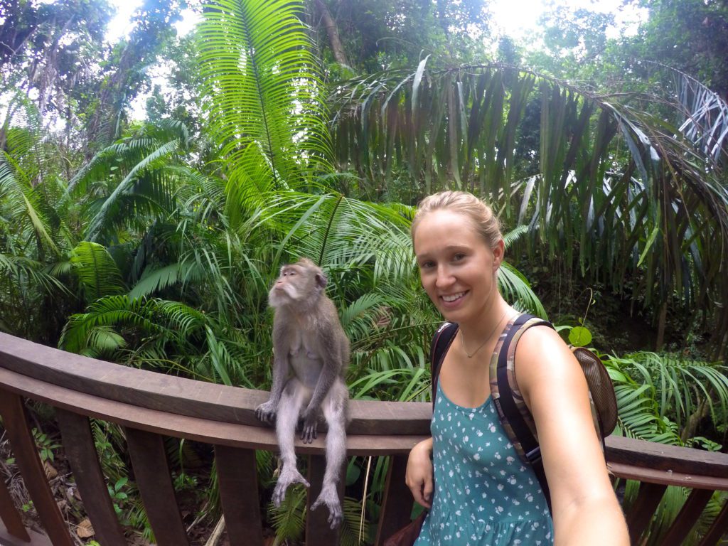 No pictures, please!