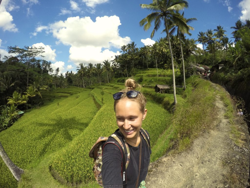 More Rice Terraces surrounding Pura Gunung Kawi.