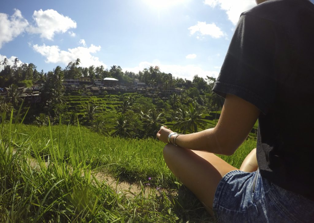 Zen in the Rice Terraces.