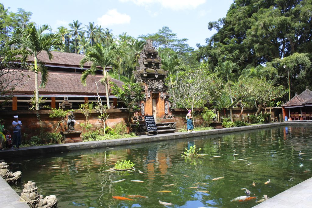 The koi pond in the temple complex of Pura Tirta Empul.