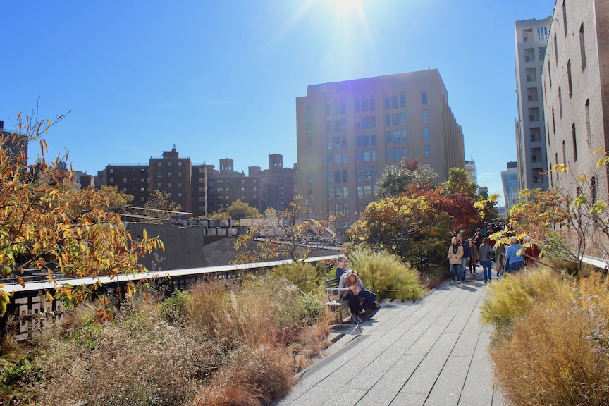 A little greenery can be found on the High Line right in the middle of Manhattan!