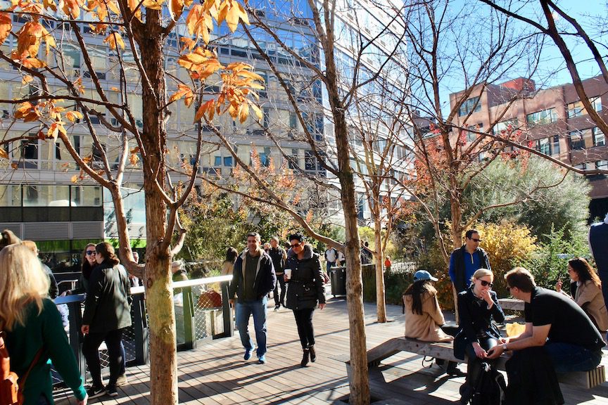 Walk amongst trees elevated above the busy city streets below.