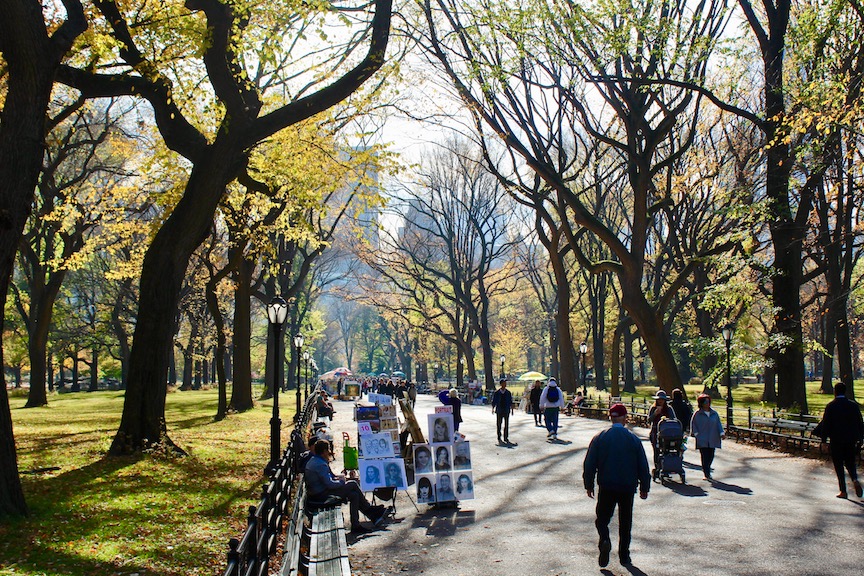 Enjoy a stroll through the tree lined paths of Central Park.