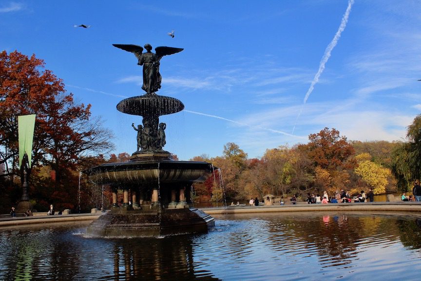 A beautiful day in Central Park!