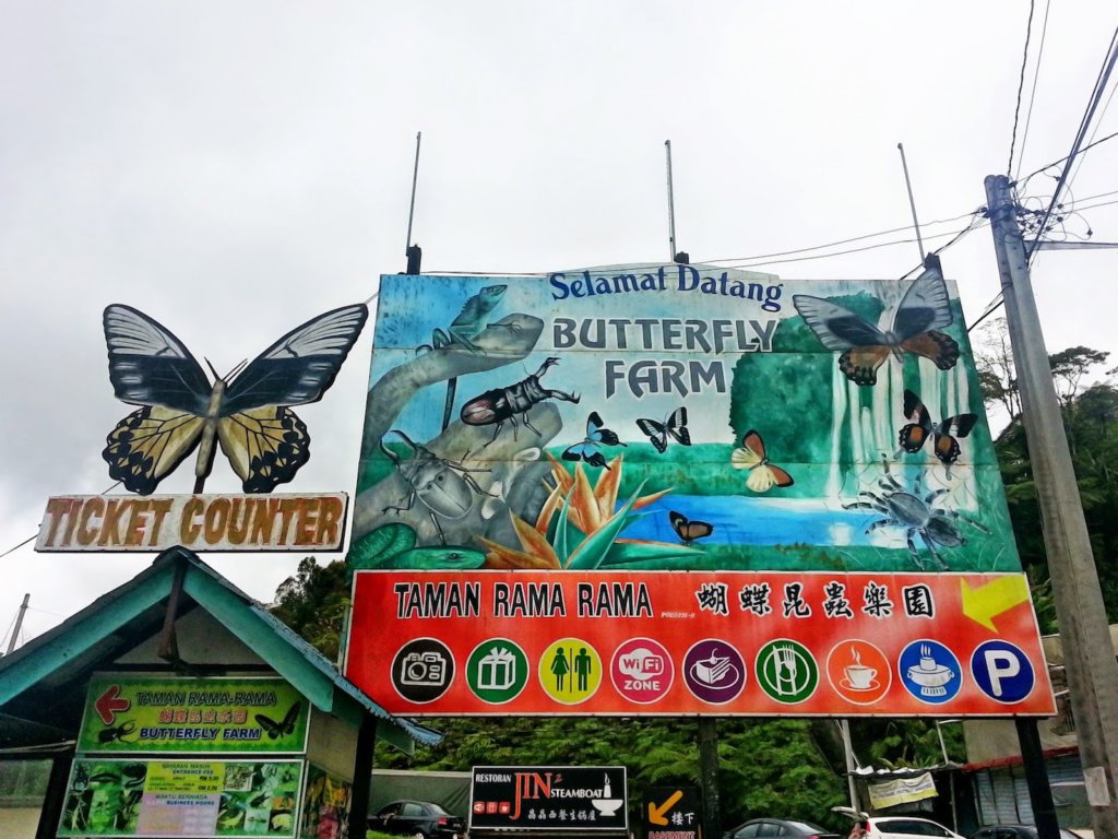 butterfly farm cameron highlands