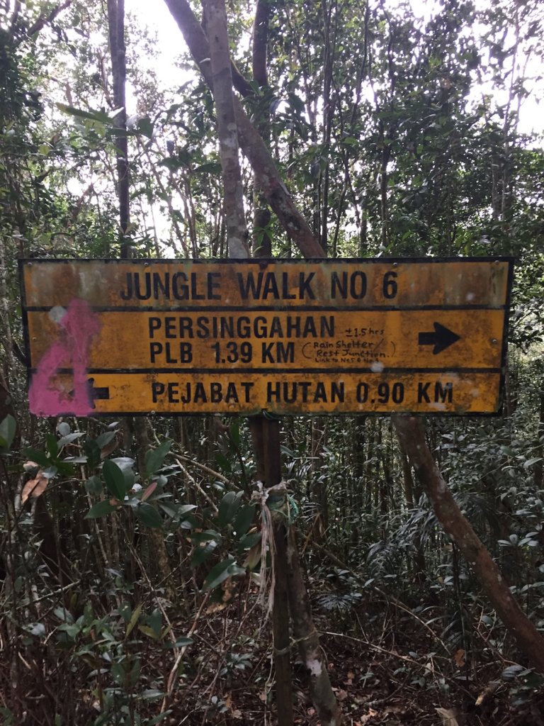 jungle trekking cameron highlands