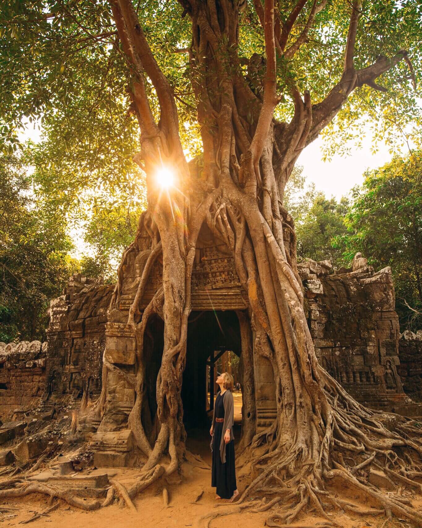 Siem Reap, Angkor Wat, What to do in Siem Reap, Siem Reap Guide, Cambodia, Best Photos of Angkor Wat, Angkor Wat in a day, Wanderluluu, Ta Som, Tree doorway Angkor Wat, Tree temple Angkor Wat