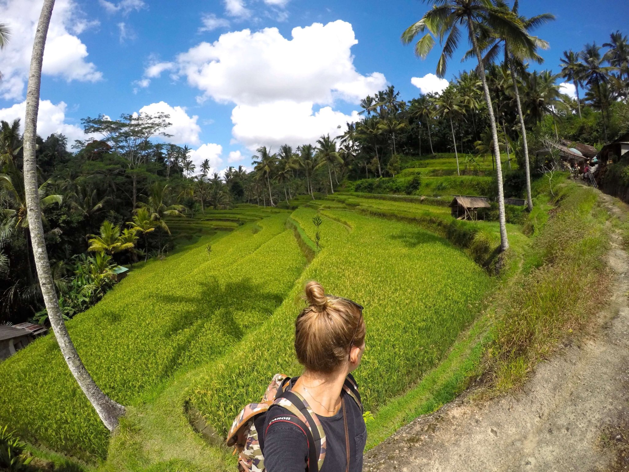 Rice terraces Bali, Bali, Indonesia, Solo Travel photography, gopro, Wanderluluu, Solo Travel