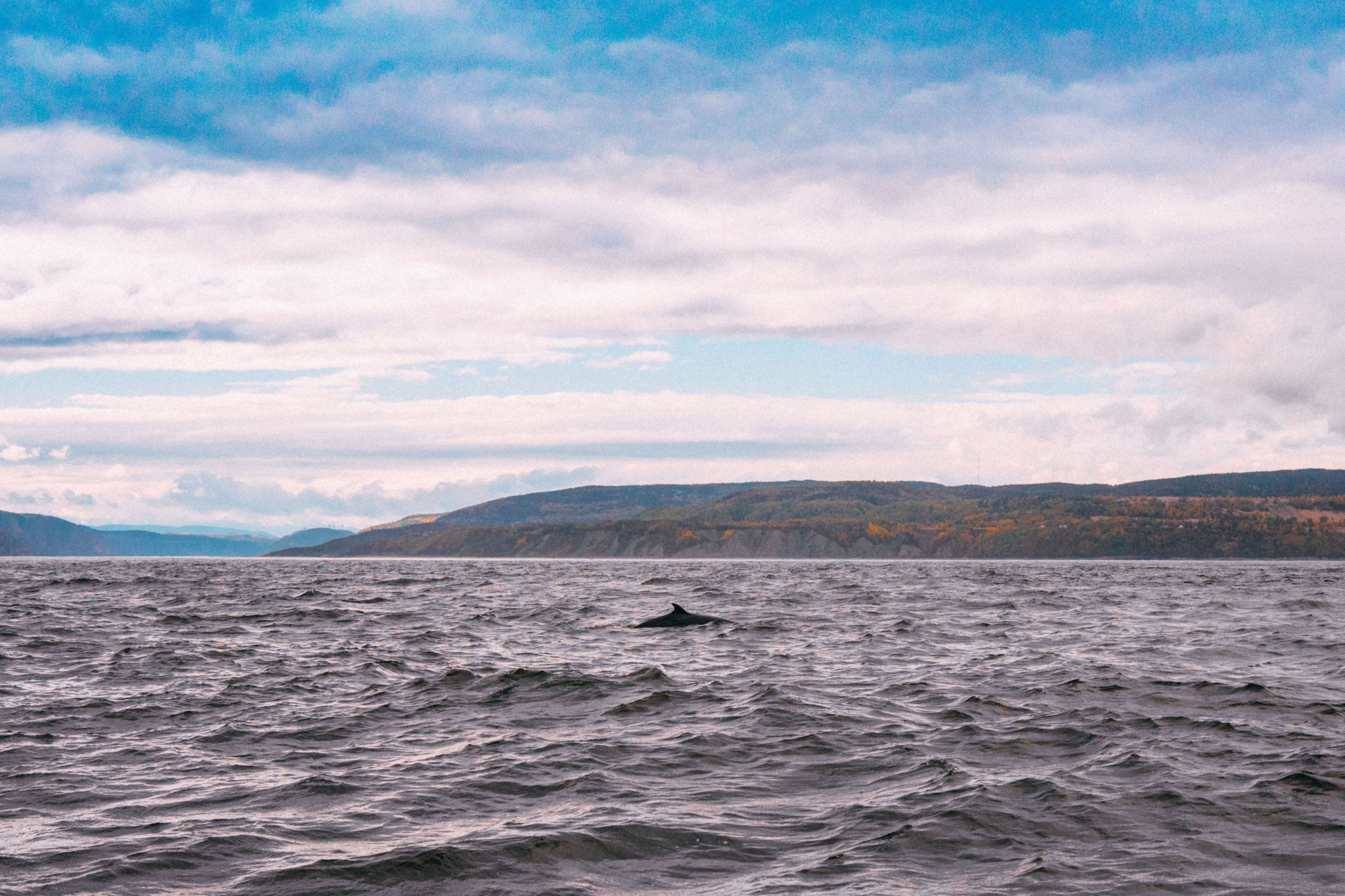 Québec Province Road Trip, Canada, HI Canada, La Malbaie, HI La Malbaie, sunrise La Malbaie, Tadoussac Autrement, whale watch Tadoussac Autrement, whale watching canada, 