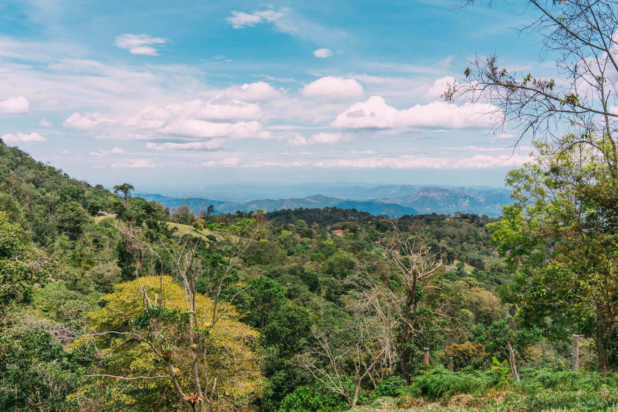 Cafetal de la Trinidad, Colombian coffee farm, coffee farm colombia, coffee farm near Bogota, coffee farm, authentic colombian coffee farm, coffee farm tour colombia, coffee farm tour bogota, coffee farm tour near bogota, bogota coffee farm, Colombian countryside, Colombian farmland
