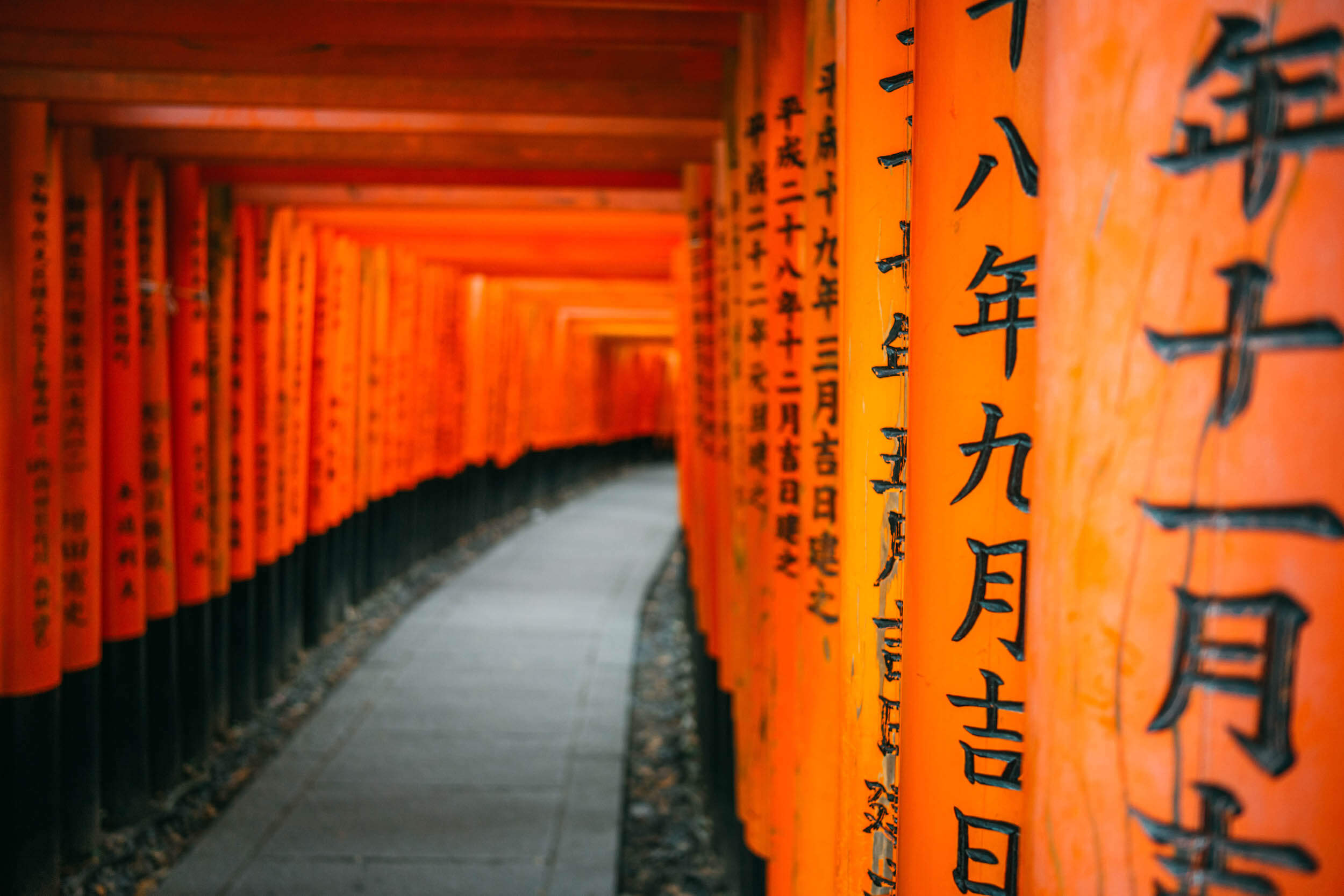 Wanderluluu Colombia Travel, Japan, Kyoto, 2 Day Itinerary Kyoto, Fushimi Inari Shrine