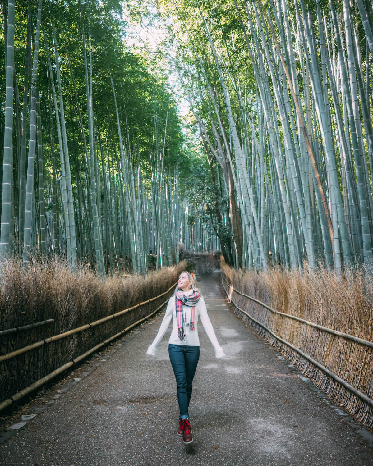 Wanderluluu Colombia Travel, Japan, Kyoto, 2 Day Itinerary Kyoto, Bamboo Forest Kyoto