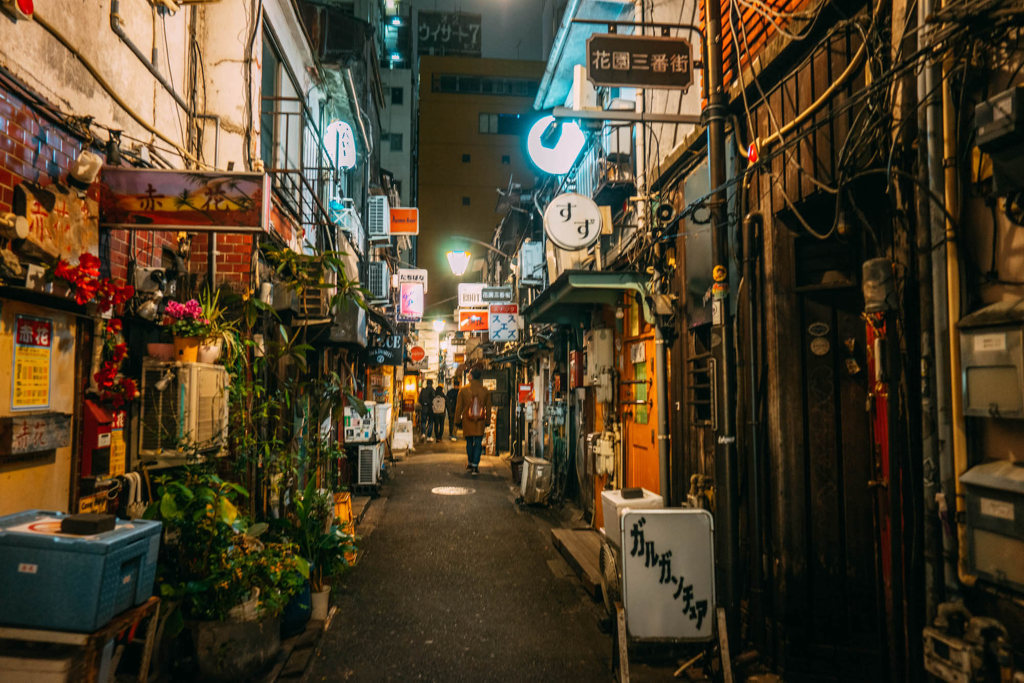 Fun Things To Do in Tokyo, Wanderluluu, Tokyo, Tokyo Japan, Golden Gai Alley