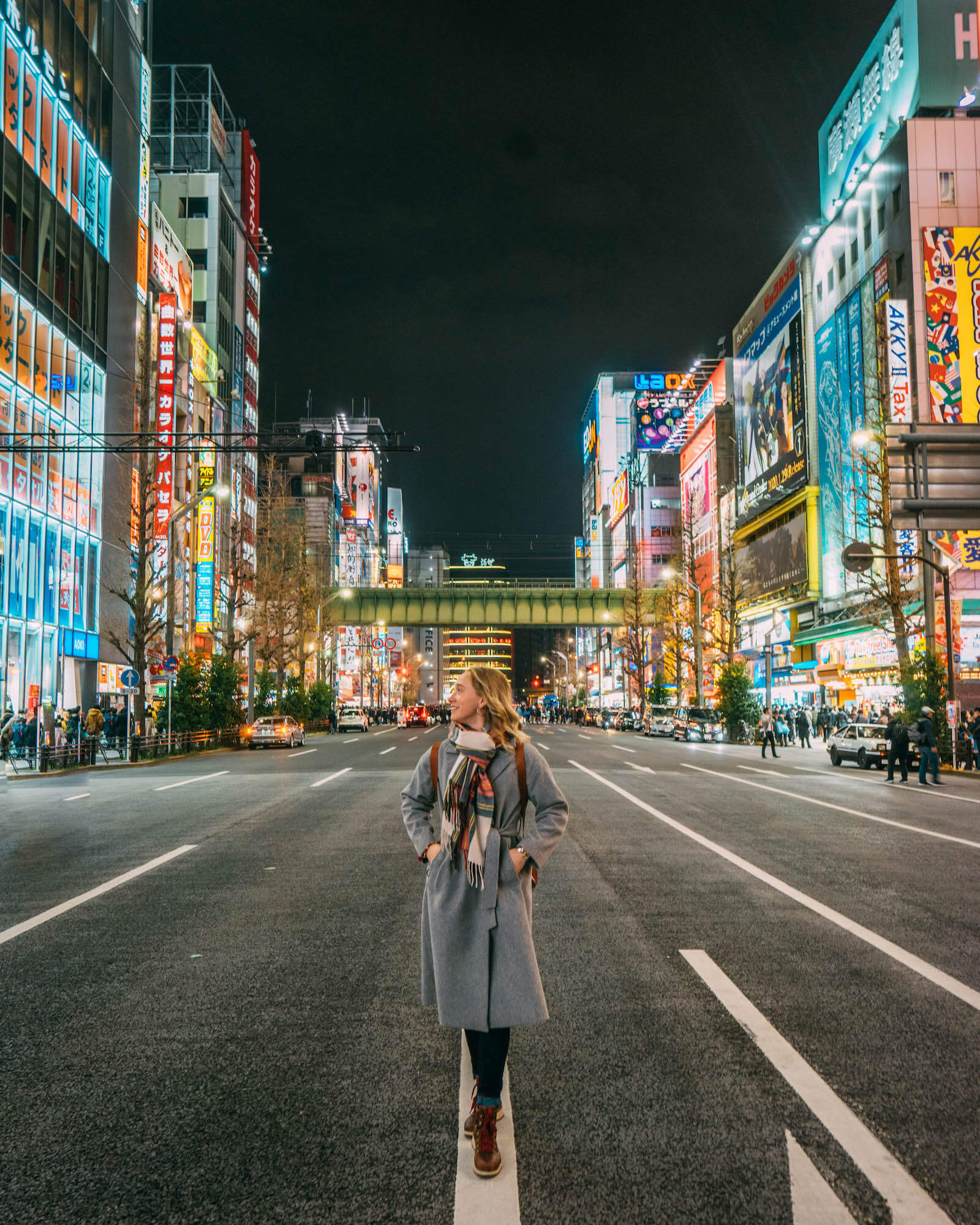 Fun Things To Do in Tokyo, Wanderluluu, Tokyo, Tokyo Japan, Akihabara