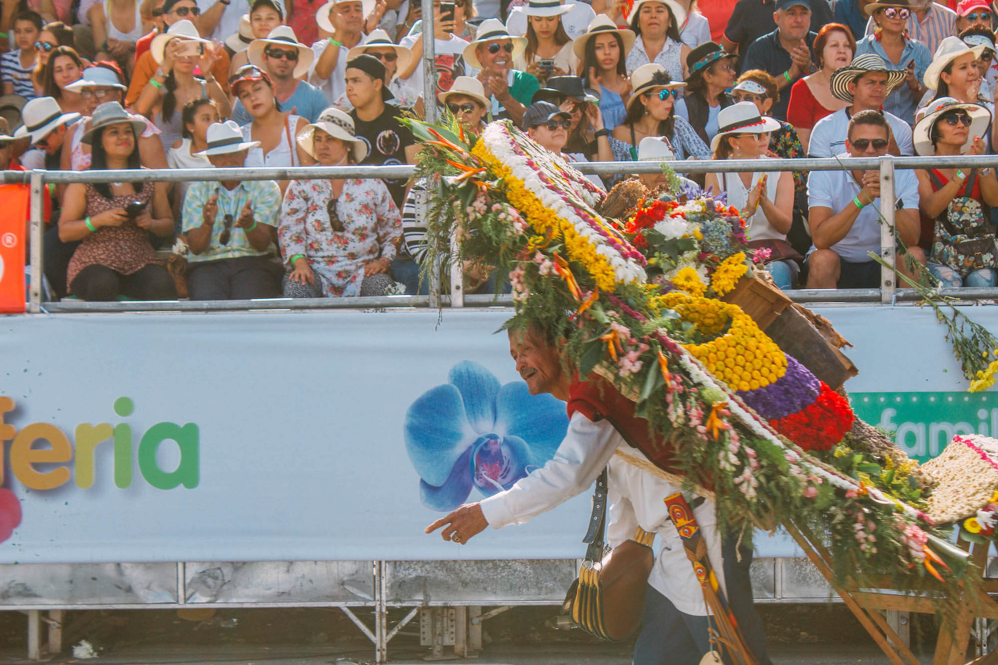 Feria de las flores medellin, Wanderluluu, Festival of flowers medellin, Medellin Colombia, Colombia flower festival, Colombia, Medellin, Best festivals in Colombia, when to visit Colombia
