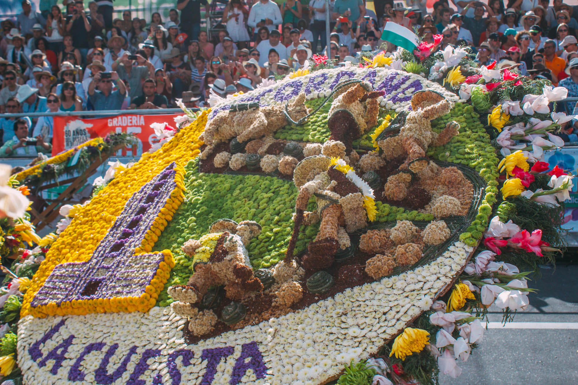 Feria de las flores medellin, Wanderluluu, Festival of flowers medellin, Medellin Colombia, Colombia flower festival, Colombia, Medellin, Best festivals in Colombia, when to visit Colombia