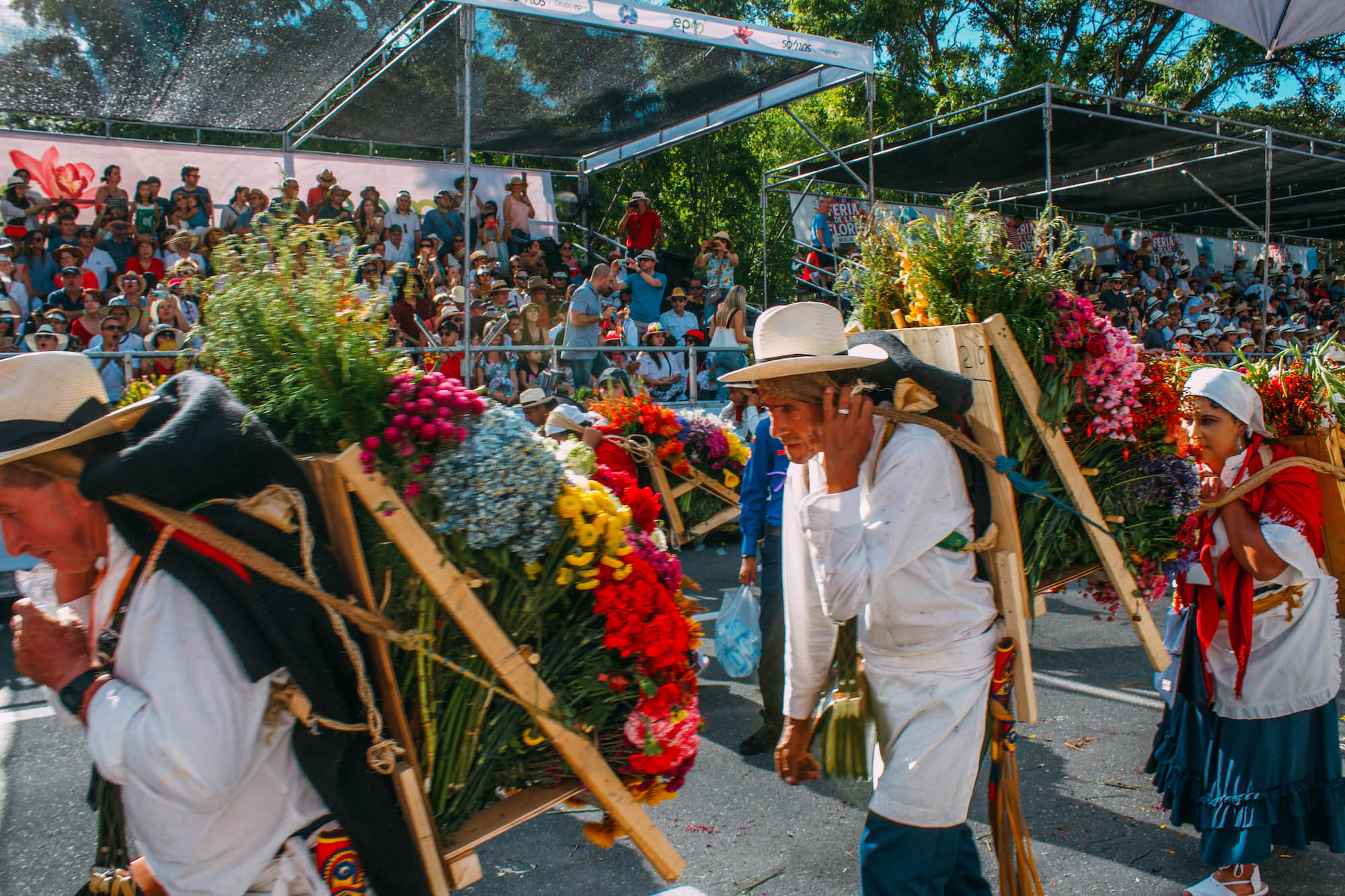 Feria de las flores medellin, Wanderluluu, Festival of flowers medellin, Medellin Colombia, Colombia flower festival, Colombia, Medellin, Best festivals in Colombia, when to visit Colombia