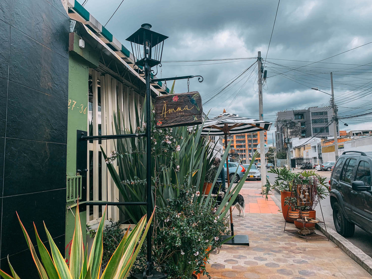 best cafes in Bogota colombia, cool cafes in Bogota, Amma cafe, wanderluluu