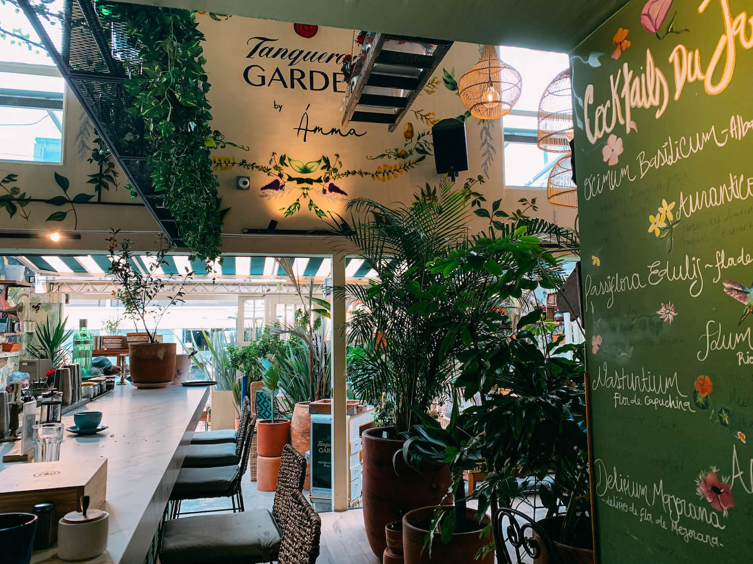 best cafes in Bogota colombia, cool cafes in Bogota, Amma cafe, wanderluluu