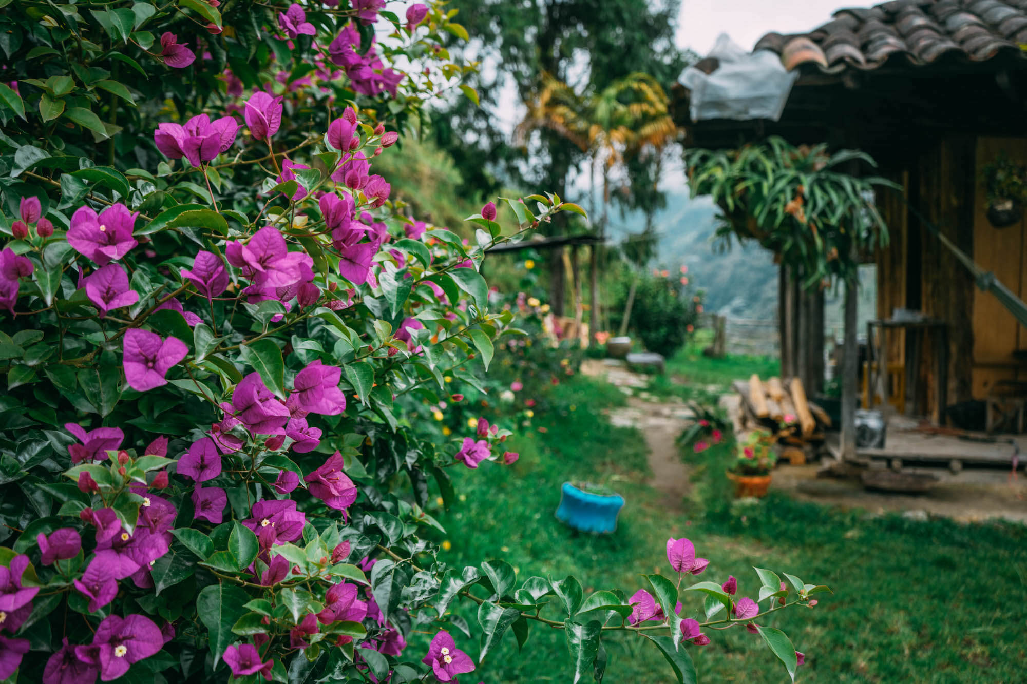 El Nido del Condor Ecolodge, Secretos de Colombia, where to stay in Manizales, unique places to stay in Colombia, wanderluluu
