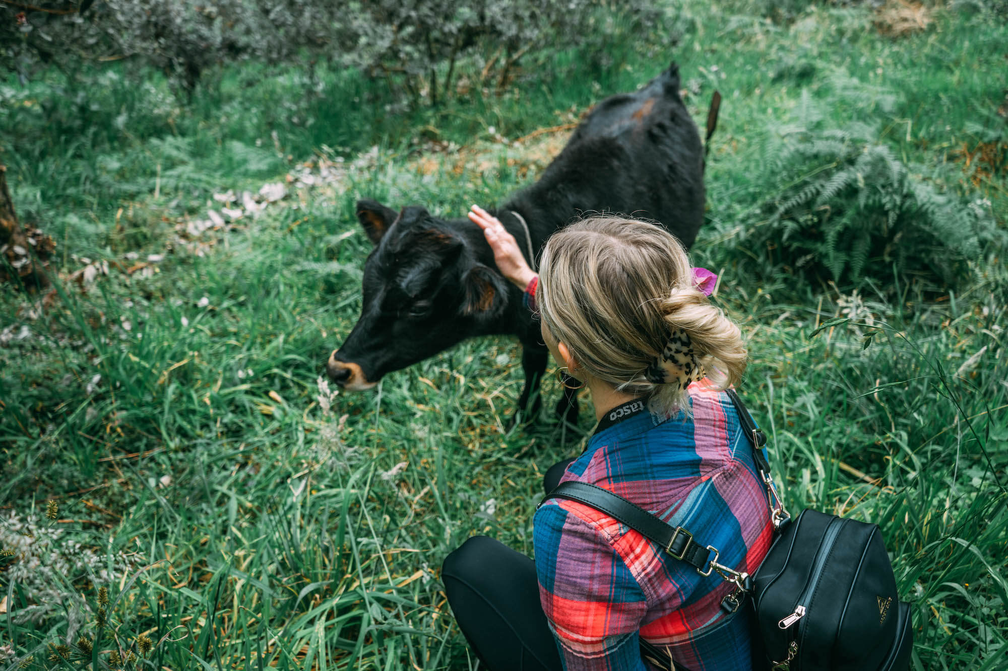 El Nido del Condor Ecolodge, Secretos de Colombia, where to stay in Manizales, unique places to stay in Colombia, wanderluluu