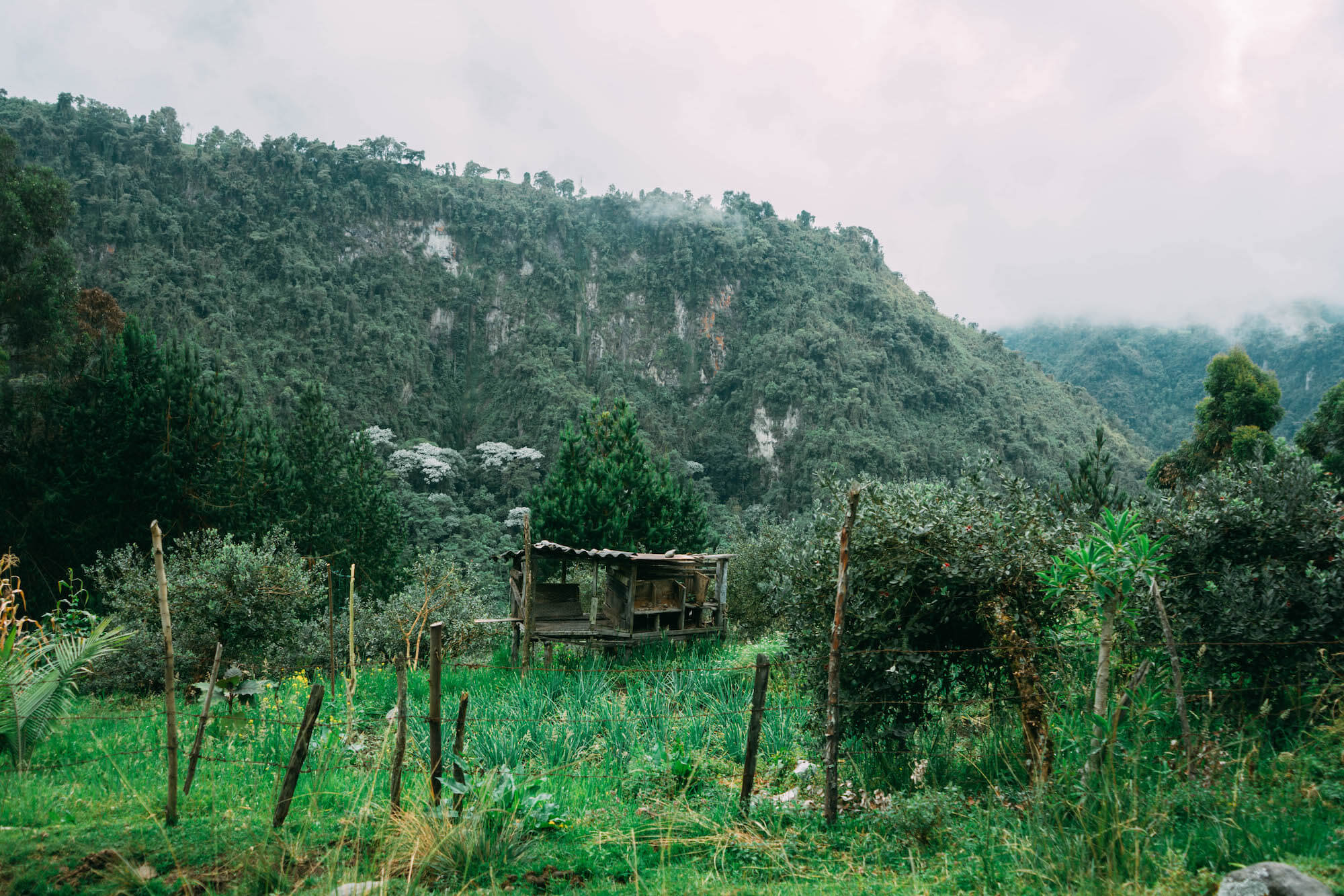 El Nido del Condor Ecolodge, Secretos de Colombia, where to stay in Manizales, unique places to stay in Colombia, wanderluluu