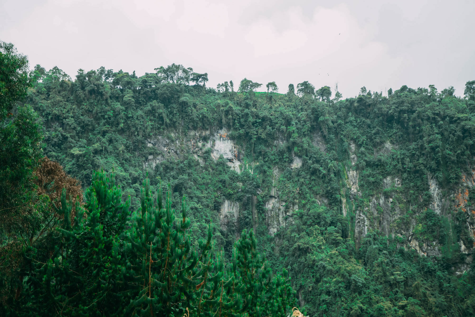 El Nido del Condor Ecolodge, Secretos de Colombia, where to stay in Manizales, unique places to stay in Colombia, wanderluluu