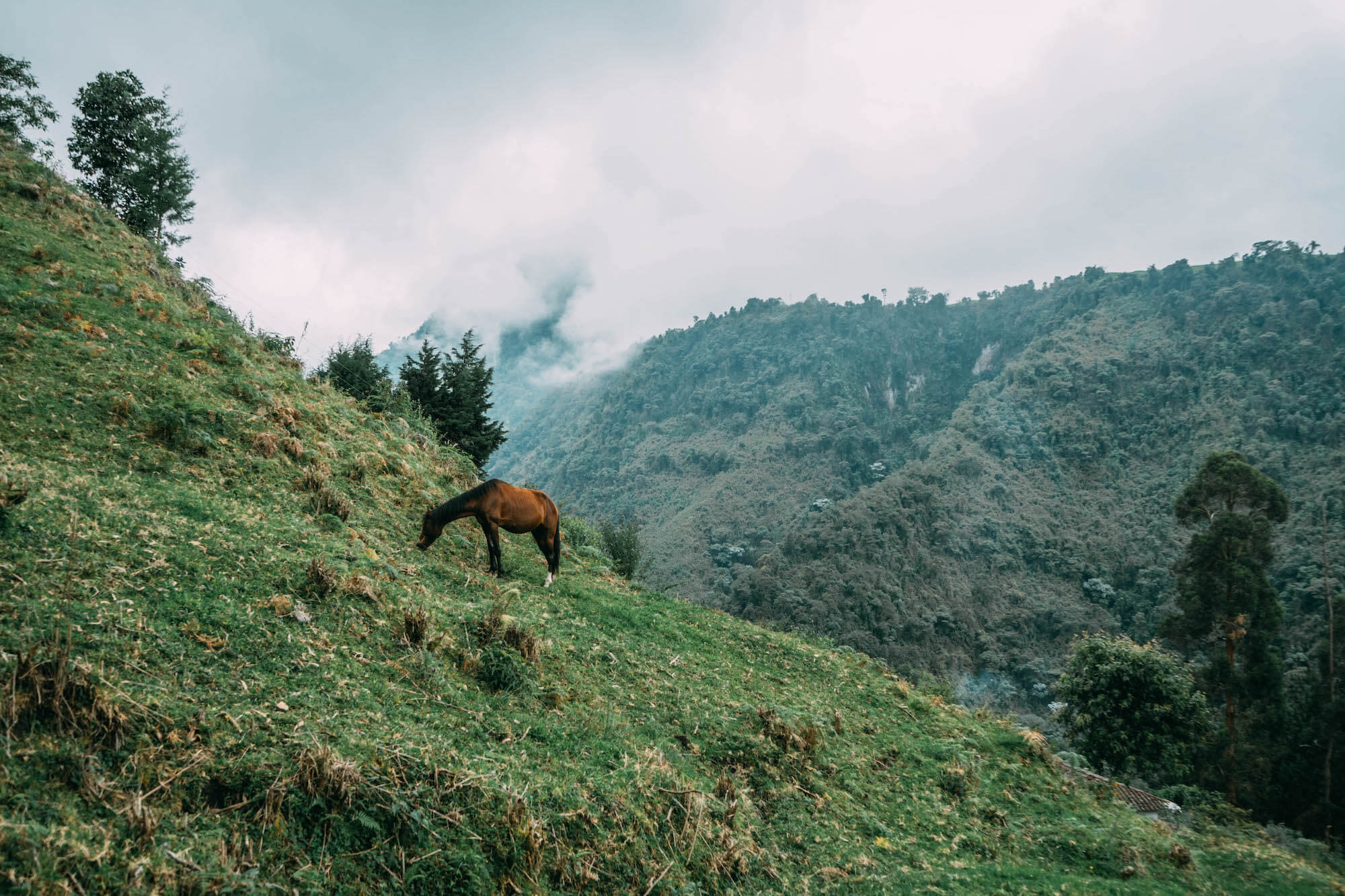 El Nido del Condor Ecolodge, Secretos de Colombia, where to stay in Manizales, unique places to stay in Colombia, wanderluluu