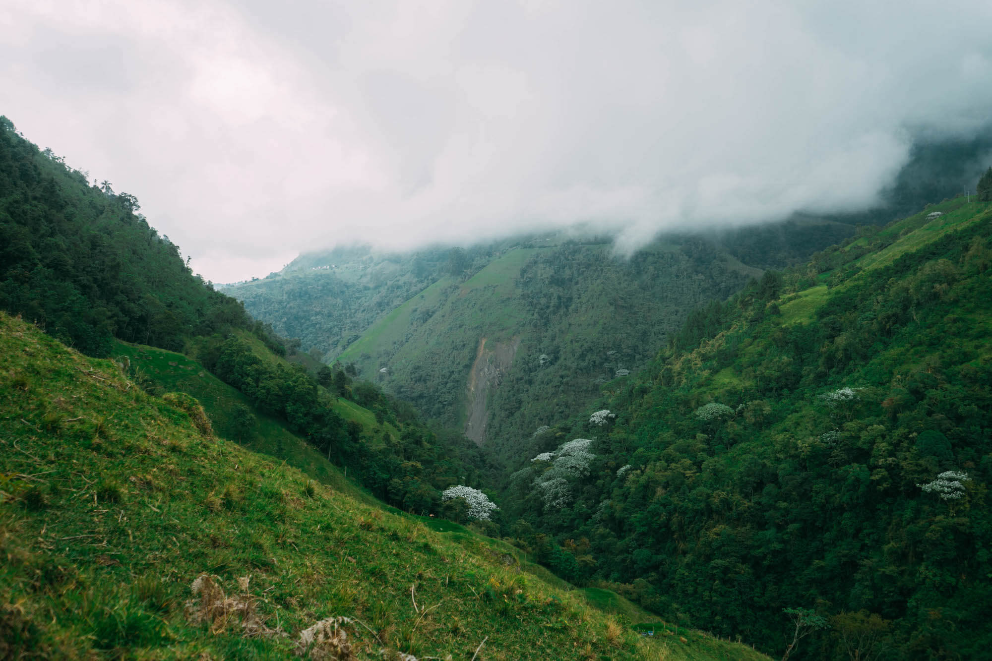 El Nido del Condor Ecolodge, Secretos de Colombia, where to stay in Manizales, unique places to stay in Colombia, wanderluluu