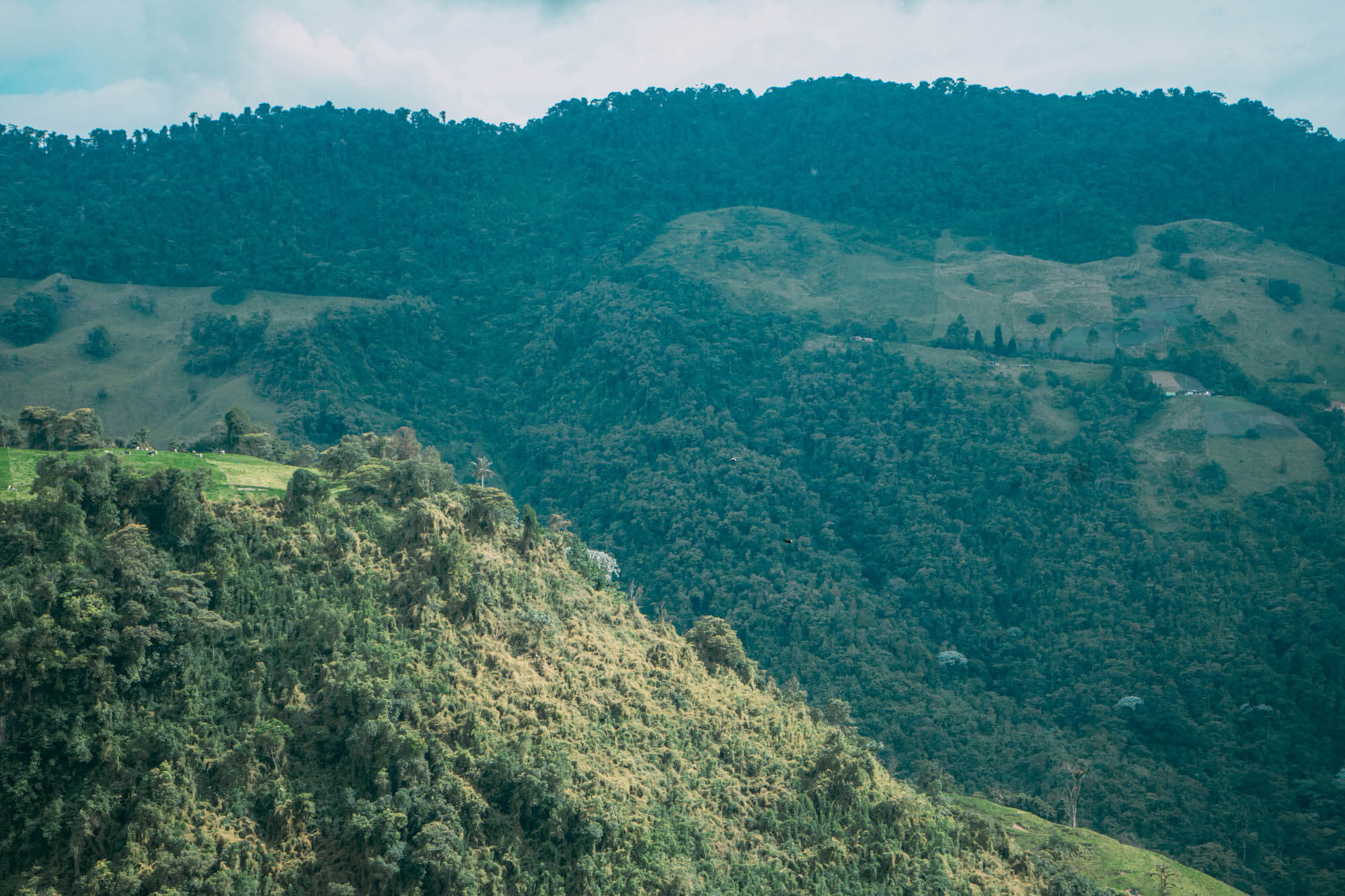 El Nido del Condor Ecolodge, Secretos de Colombia, where to stay in Manizales, unique places to stay in Colombia, wanderluluu