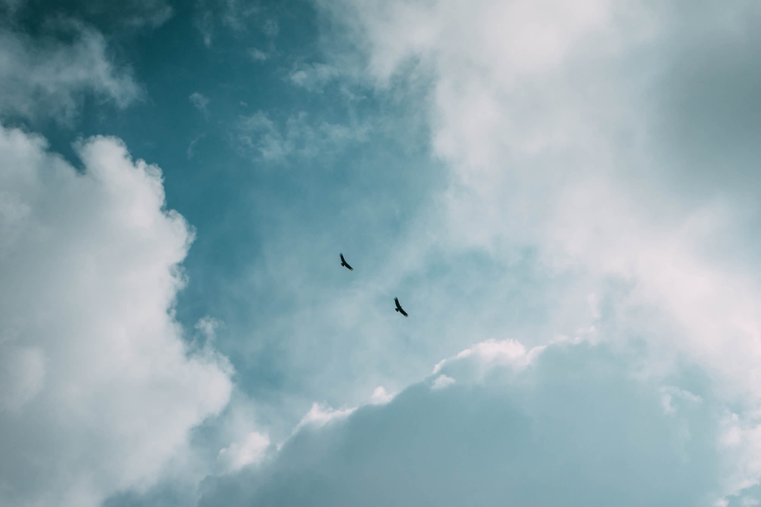 El Nido del Condor Ecolodge, Secretos de Colombia, where to stay in Manizales, unique places to stay in Colombia, wanderluluu