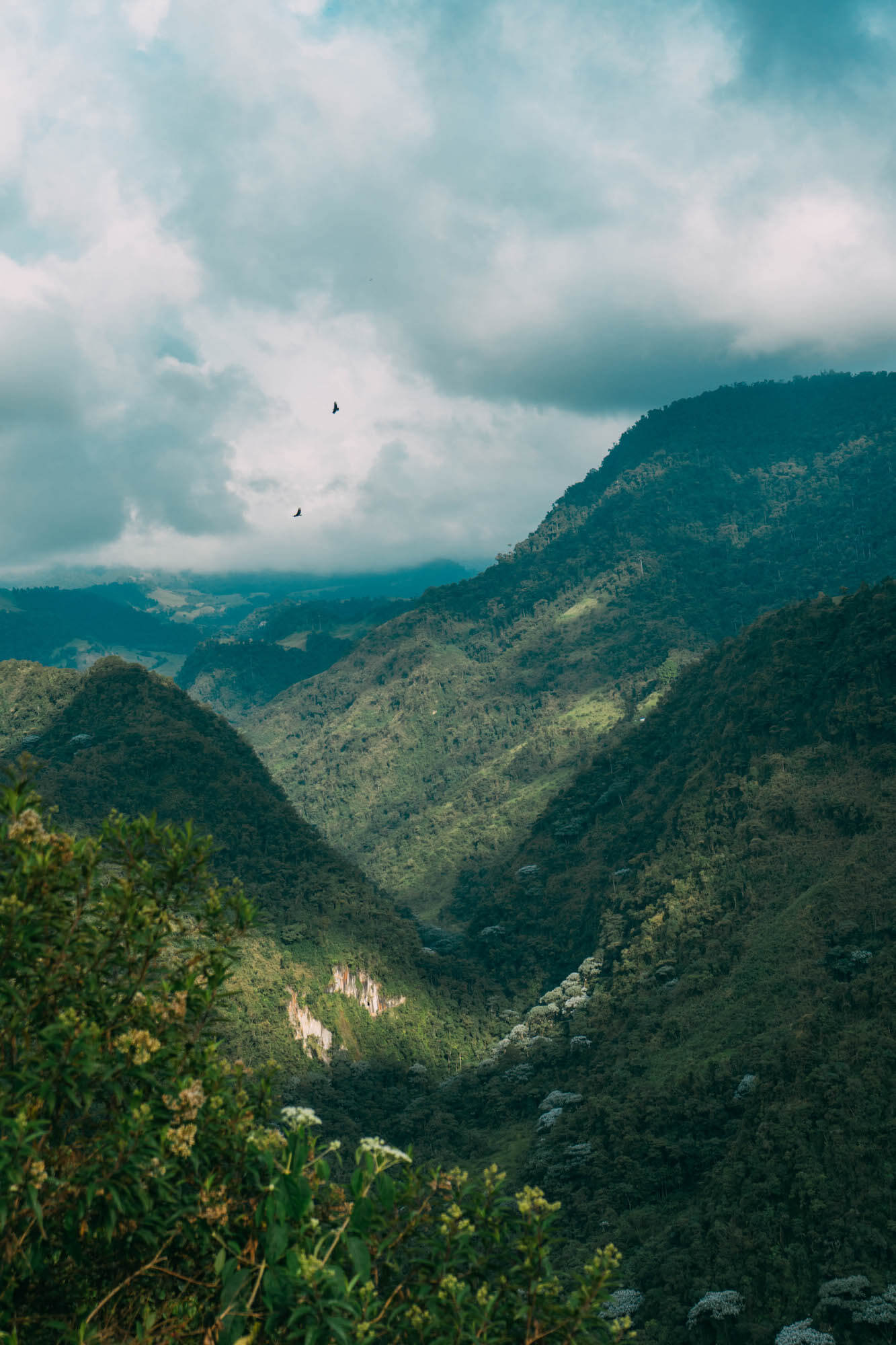 El Nido del Condor Ecolodge, Secretos de Colombia, where to stay in Manizales, unique places to stay in Colombia, wanderluluu