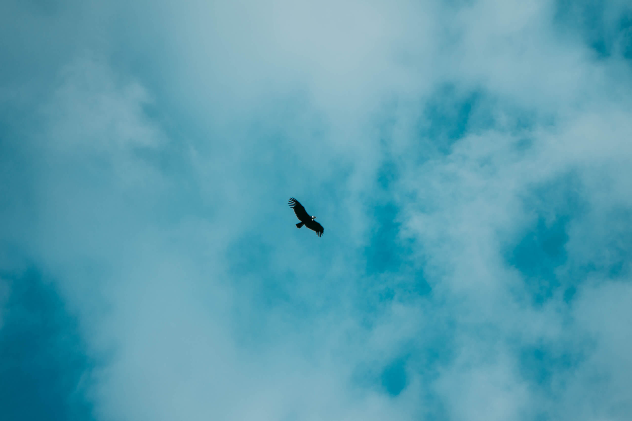 El Nido del Condor Ecolodge, Secretos de Colombia, where to stay in Manizales, unique places to stay in Colombia, wanderluluu