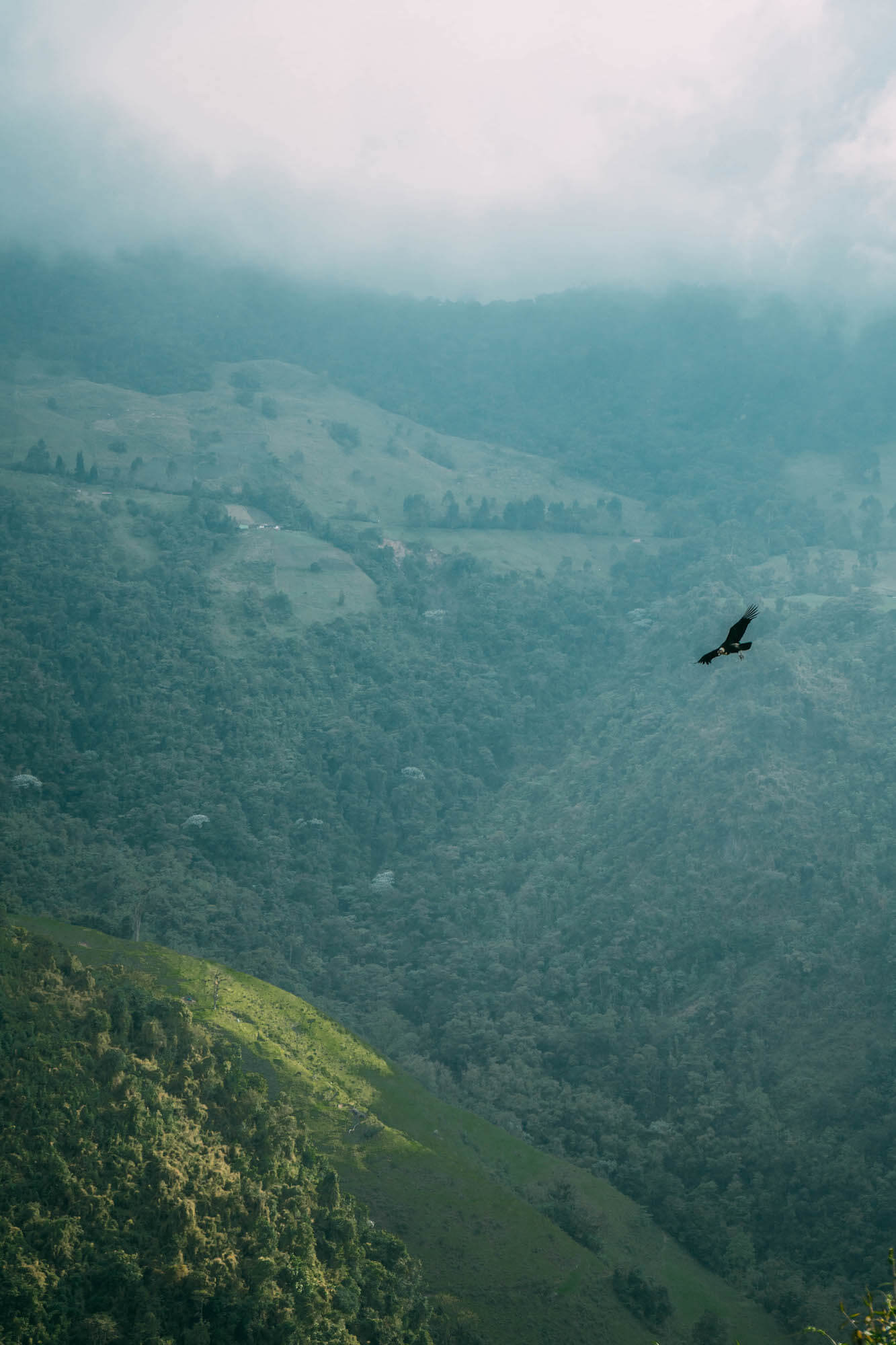 El Nido del Condor Ecolodge, Secretos de Colombia, where to stay in Manizales, unique places to stay in Colombia, wanderluluu