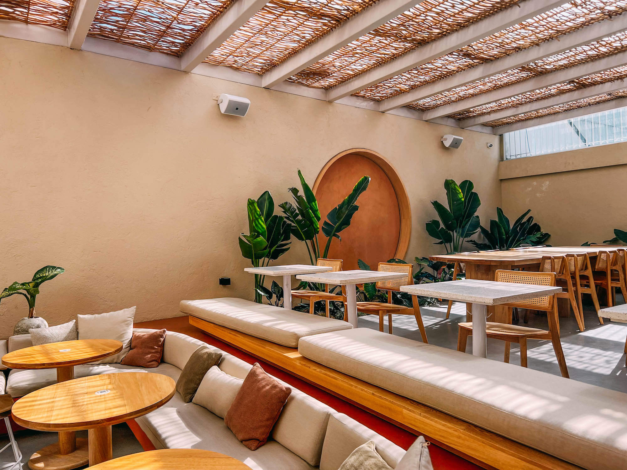 best cafes in Bogota colombia, cool cafes in Bogota, Tropicalia Coffee Bogota, wanderluluu