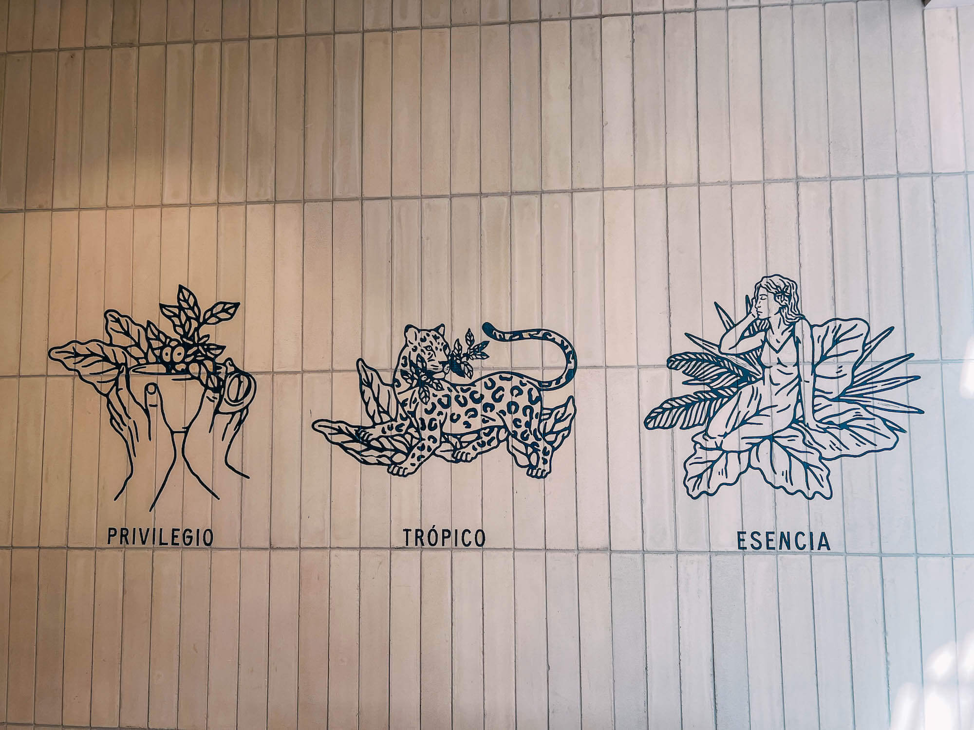 best cafes in Bogota colombia, cool cafes in Bogota, Tropicalia Coffee Bogota, wanderluluu