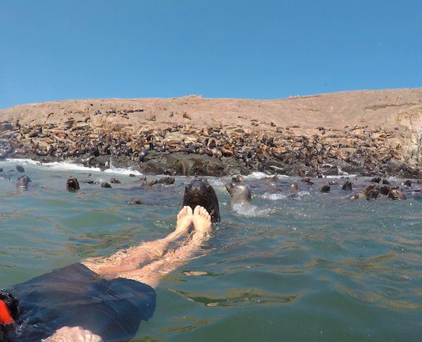 Mar Adentro Excursiones