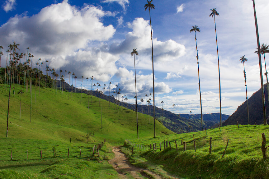 A Guide to Salento & the Cocora Valley of Colombia - Wanderluluu